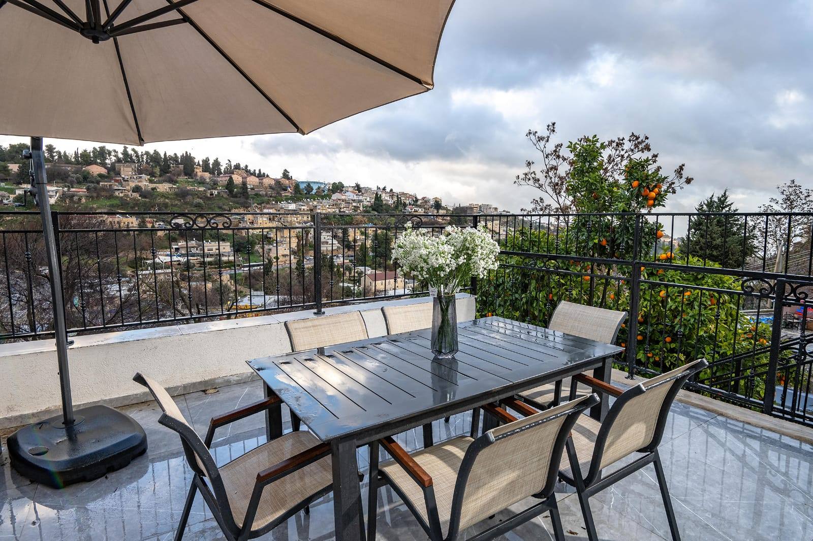 Terrace view over the Galilee hills with citrus trees