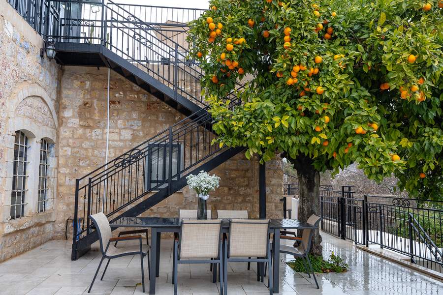 Terrace dining table beneath a citrus tree full of fruit
