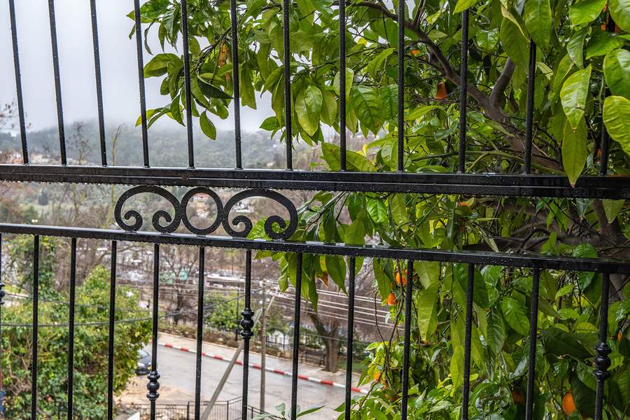 Citrus branches framed by wrought iron railing